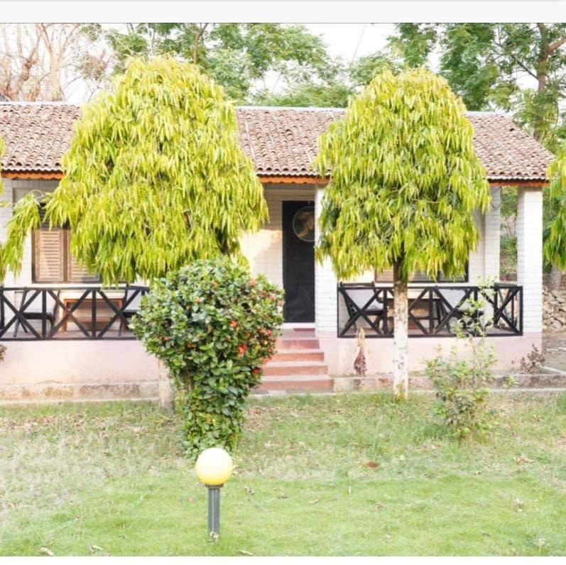Safari Wildlife Lodge And Camp Chitwan Exterior foto