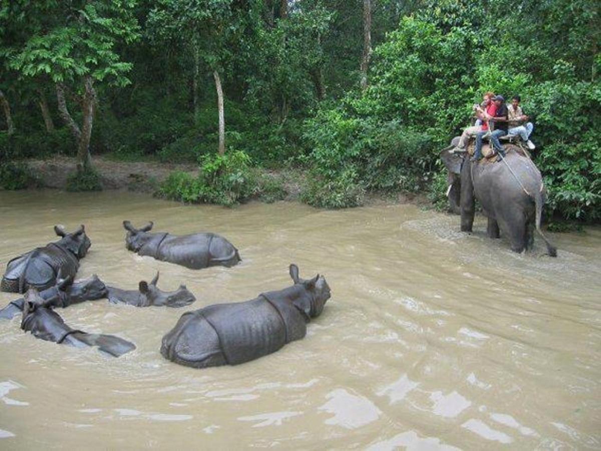 Safari Wildlife Lodge And Camp Chitwan Exterior foto