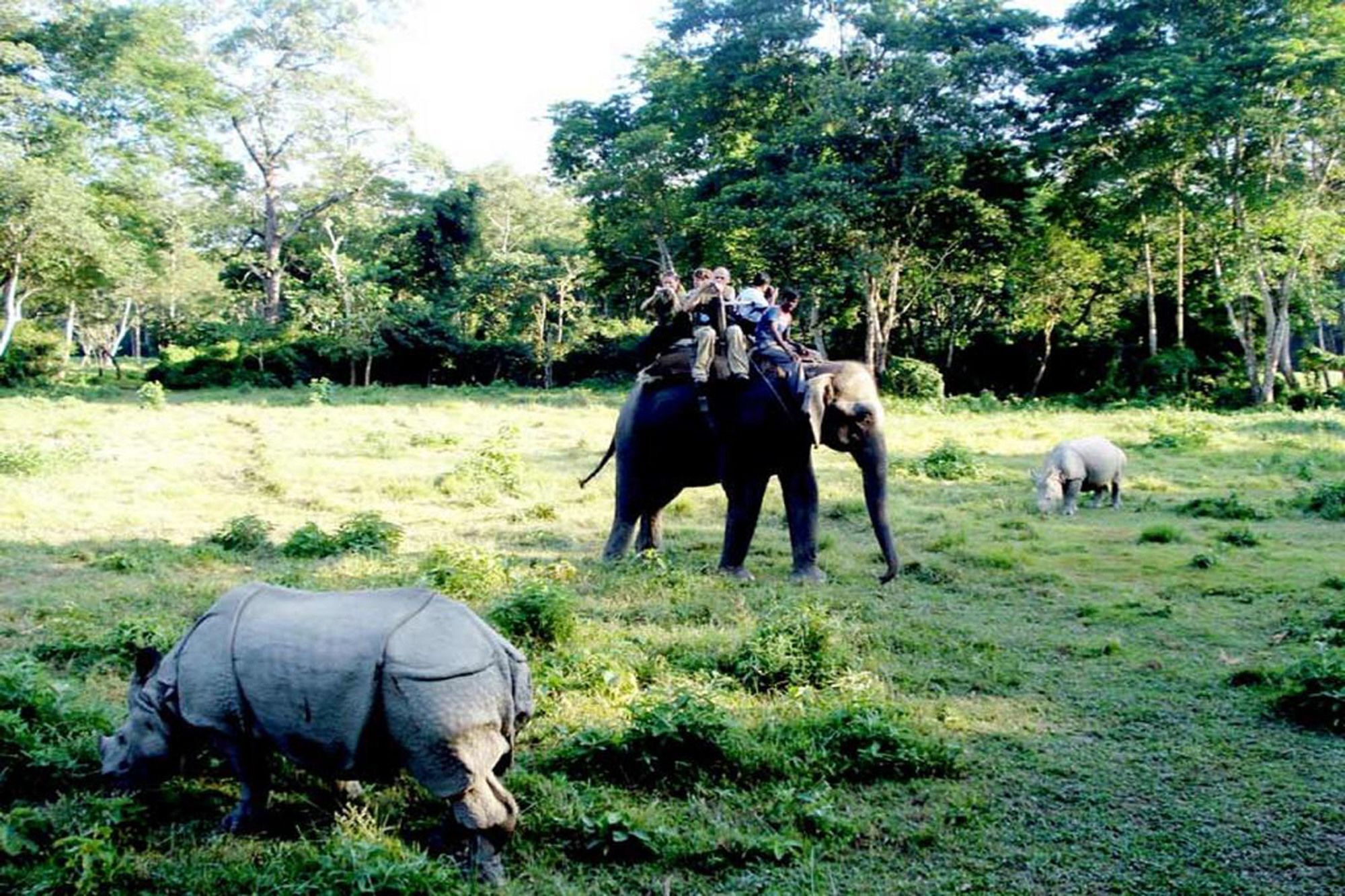 Safari Wildlife Lodge And Camp Chitwan Exterior foto